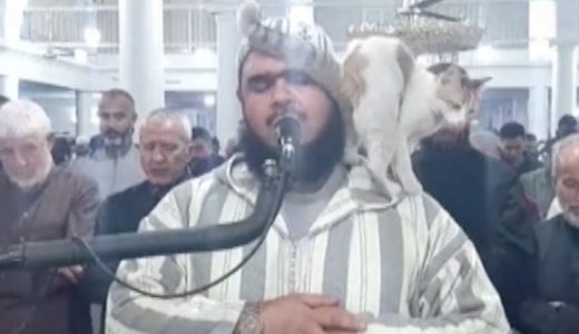 ラマダンの礼拝にネコが乱入　導師の肩に乗り ~4月第2週のできごと~