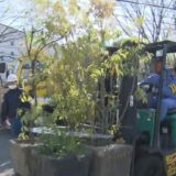 歩道に放置“大量の植木鉢” 動物園がキリンの餌として引き取る ~2月第3週のできごと~