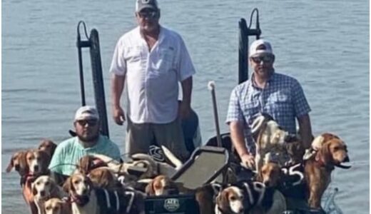 湖で釣りをした男性たち「そこら中に犬がいる！」38匹を救出 ~6月第5週のできごと~