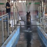 馬も大好き 函館競馬場内温泉施設の“効能” ~7月第2週のできごと~