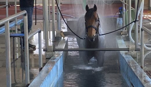 馬も大好き 函館競馬場内温泉施設の“効能” ~7月第2週のできごと~