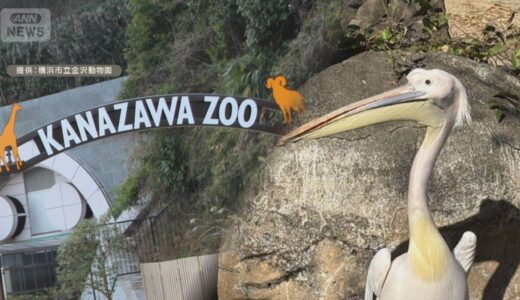 動物園の「看板娘」オスだった ~1月第3週のできごと~