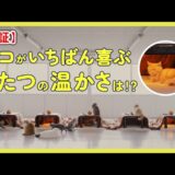 ネコが一番喜ぶこたつの温かさは？ ヤマトGが検証 ~1月第5週&2月第1週のできごと~